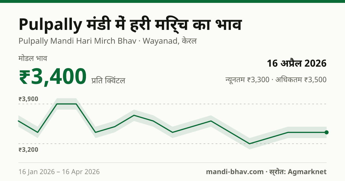 Pulpally मंडी में हरी मिर्च का भाव 16 अप्रैल 2026: मोडल ₹3,400 प्रति क्विंटल, भाव के रुझान का चार्ट