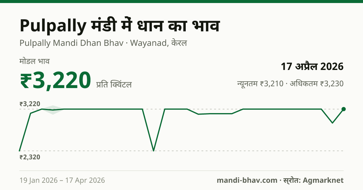 Pulpally मंडी में धान का भाव 17 अप्रैल 2026: मोडल ₹3,220 प्रति क्विंटल, भाव के रुझान का चार्ट