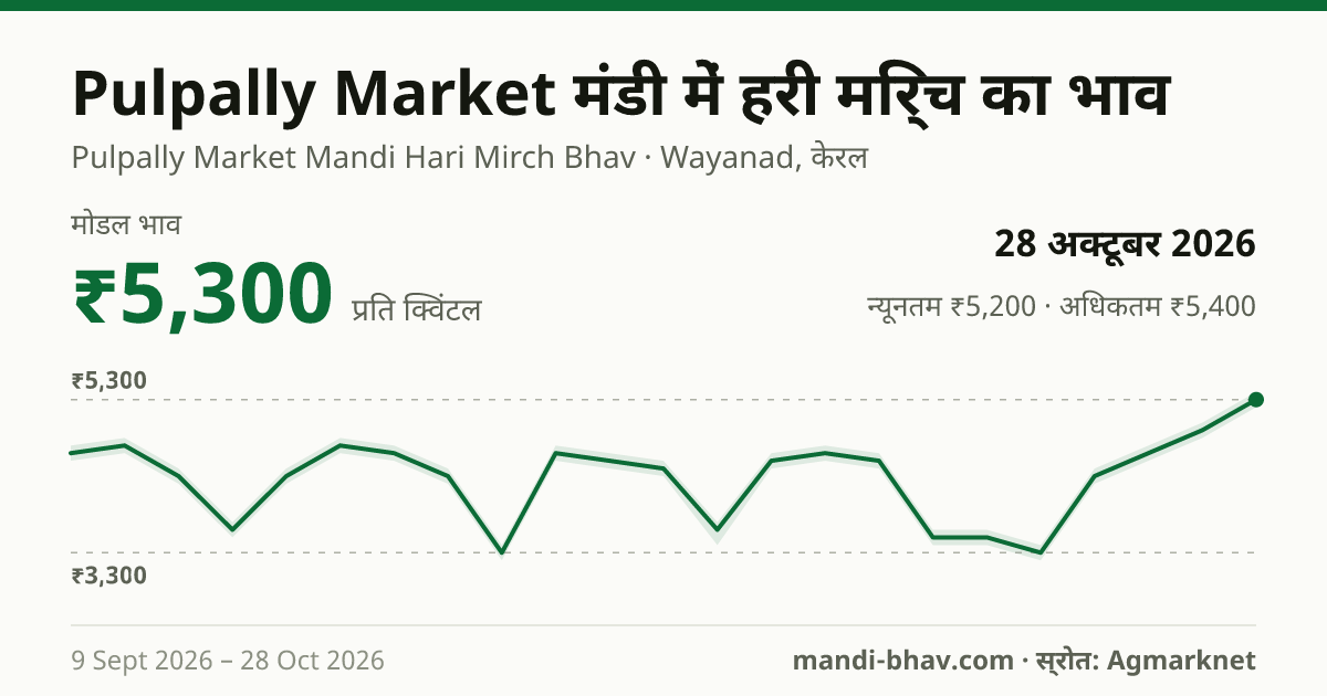 Pulpally Market मंडी में हरी मिर्च का भाव 28 अक्टूबर 2026: मोडल ₹5,300 प्रति क्विंटल, भाव के रुझान का चार्ट