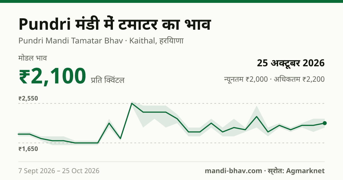 Pundri मंडी में टमाटर का भाव 25 अक्टूबर 2026: मोडल ₹2,100 प्रति क्विंटल, भाव के रुझान का चार्ट