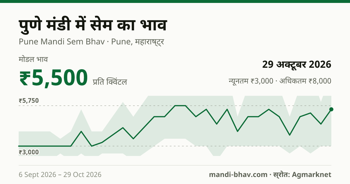पुणे मंडी में सेम का भाव 29 अक्टूबर 2026: मोडल ₹5,500 प्रति क्विंटल, भाव के रुझान का चार्ट