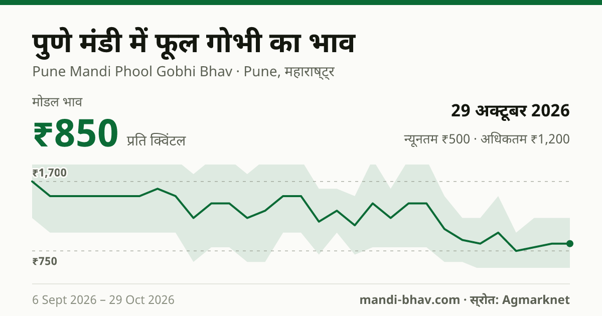 पुणे मंडी में फूल गोभी का भाव 29 अक्टूबर 2026: मोडल ₹850 प्रति क्विंटल, भाव के रुझान का चार्ट