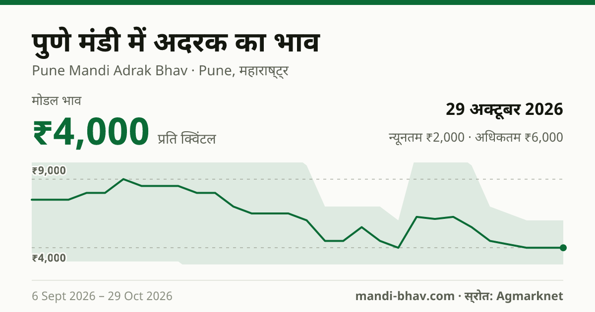 पुणे मंडी में अदरक का भाव 29 अक्टूबर 2026: मोडल ₹4,000 प्रति क्विंटल, भाव के रुझान का चार्ट