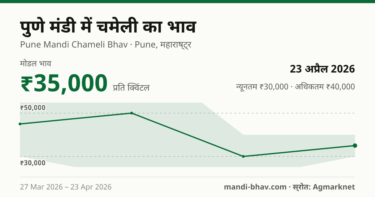 पुणे मंडी में चमेली का भाव 23 अप्रैल 2026: मोडल ₹35,000 प्रति क्विंटल, भाव के रुझान का चार्ट