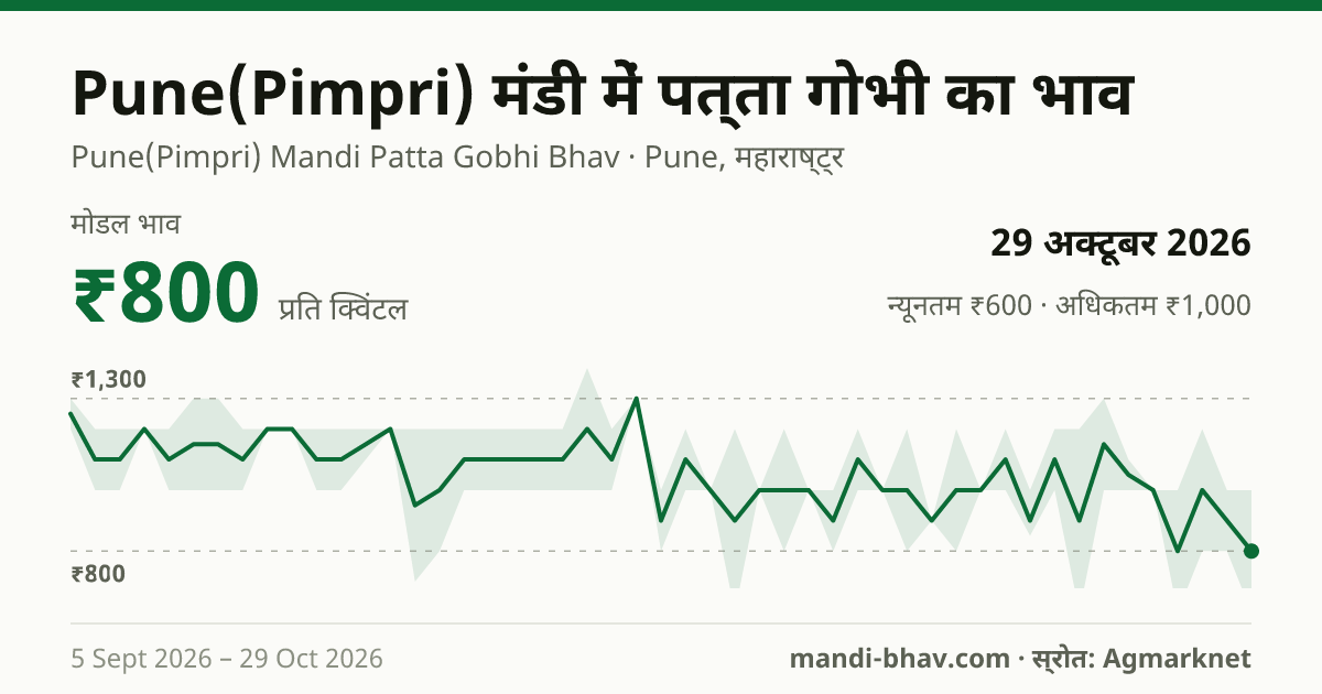 Pune(Pimpri) मंडी में पत्ता गोभी का भाव 29 अक्टूबर 2026: मोडल ₹800 प्रति क्विंटल, भाव के रुझान का चार्ट