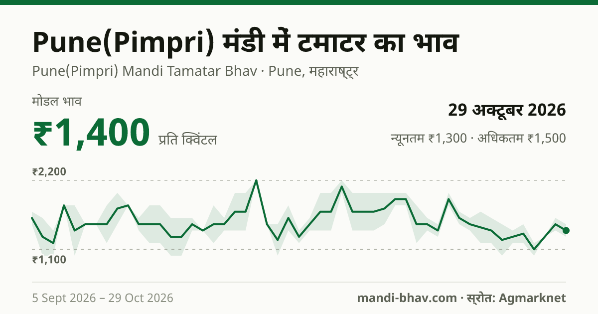 Pune(Pimpri) मंडी में टमाटर का भाव 29 अक्टूबर 2026: मोडल ₹1,400 प्रति क्विंटल, भाव के रुझान का चार्ट