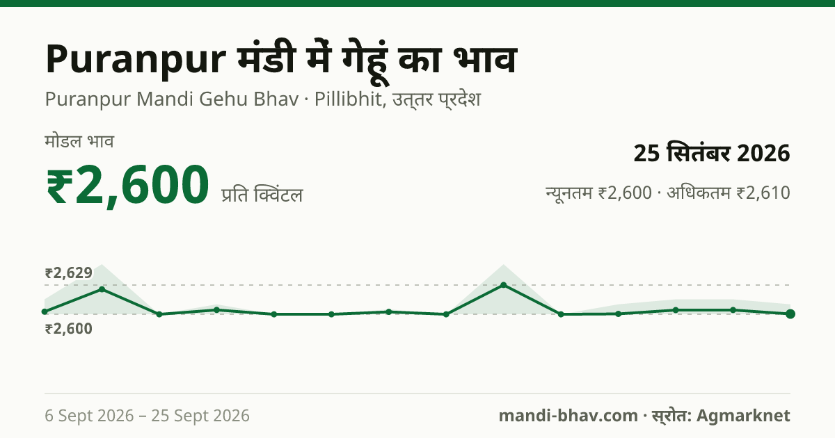 Puranpur मंडी में गेहूं का भाव 25 सितंबर 2026: मोडल ₹2,600 प्रति क्विंटल, भाव के रुझान का चार्ट