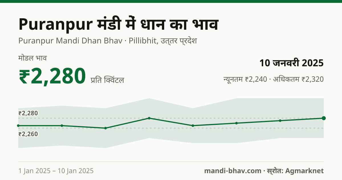 Puranpur मंडी में धान का भाव 10 जनवरी 2025: मोडल ₹2,280 प्रति क्विंटल, भाव के रुझान का चार्ट
