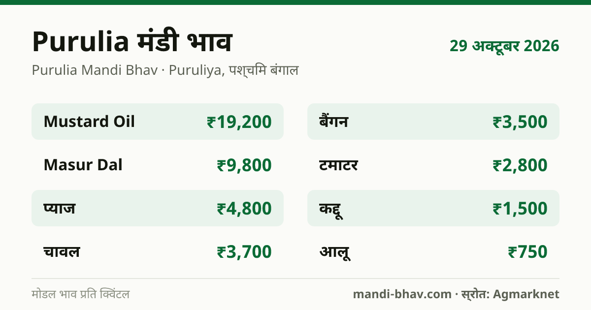Purulia मंडी भाव 29 अक्टूबर 2026: फसलवार मोडल रेट प्रति क्विंटल