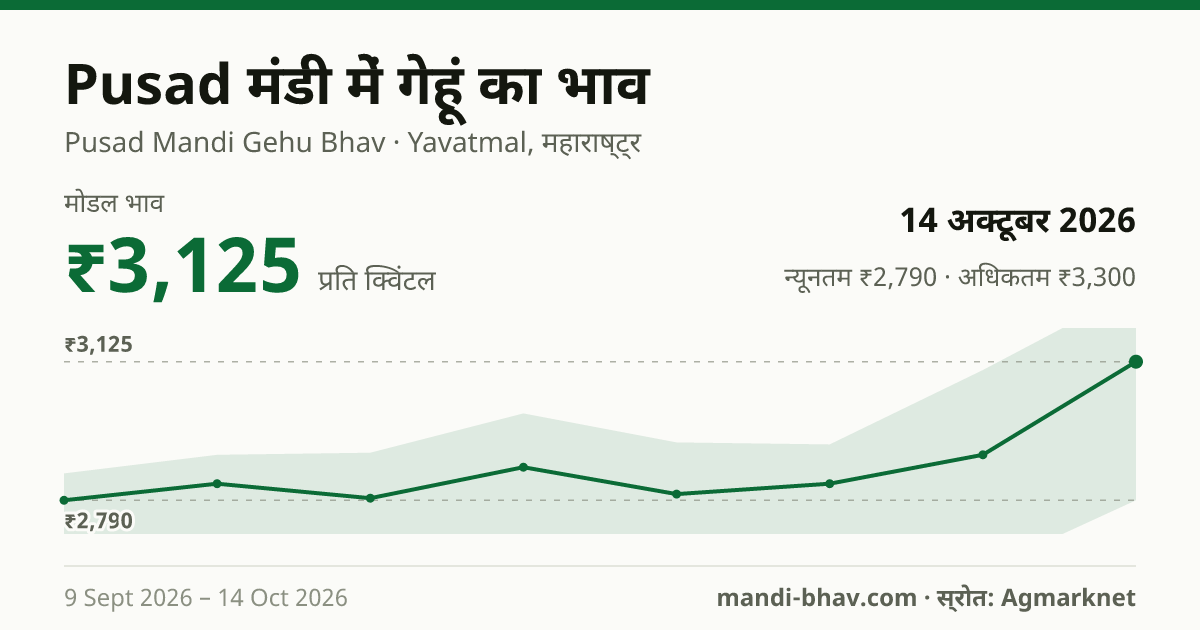 Pusad मंडी में गेहूं का भाव 14 अक्टूबर 2026: मोडल ₹3,125 प्रति क्विंटल, भाव के रुझान का चार्ट