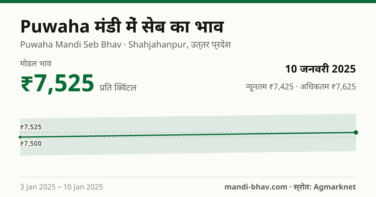 Puwaha मंडी में सेब का भाव 10 जनवरी 2025: मोडल ₹7,525 प्रति क्विंटल, भाव के रुझान का चार्ट