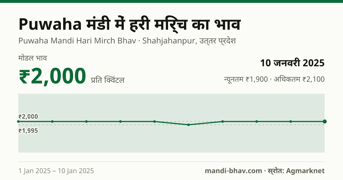 Puwaha मंडी में हरी मिर्च का भाव 10 जनवरी 2025: मोडल ₹2,000 प्रति क्विंटल, भाव के रुझान का चार्ट