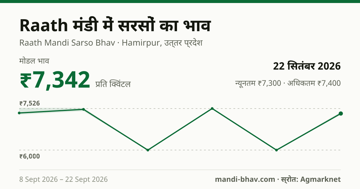 Raath मंडी में सरसों का भाव 22 सितंबर 2026: मोडल ₹7,342 प्रति क्विंटल, भाव के रुझान का चार्ट