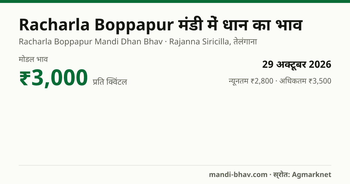 Racharla Boppapur मंडी में धान का भाव 29 अक्टूबर 2026: मोडल ₹3,000 प्रति क्विंटल, भाव के रुझान का चार्ट