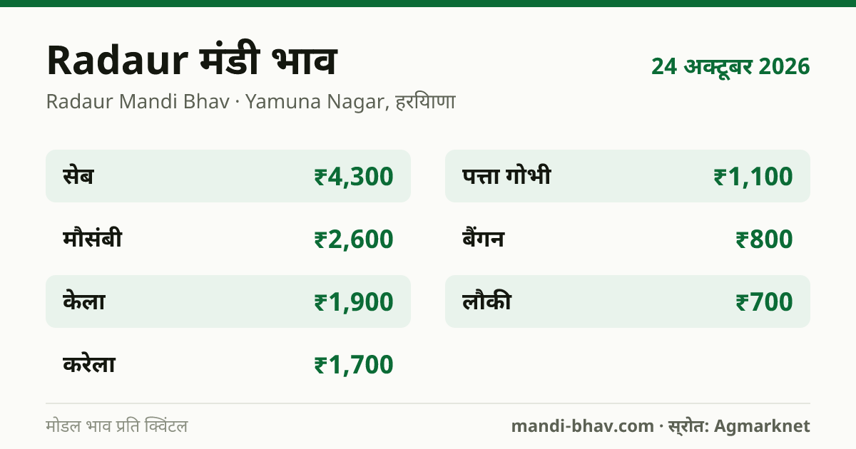 Radaur मंडी भाव 24 अक्टूबर 2026: फसलवार मोडल रेट प्रति क्विंटल