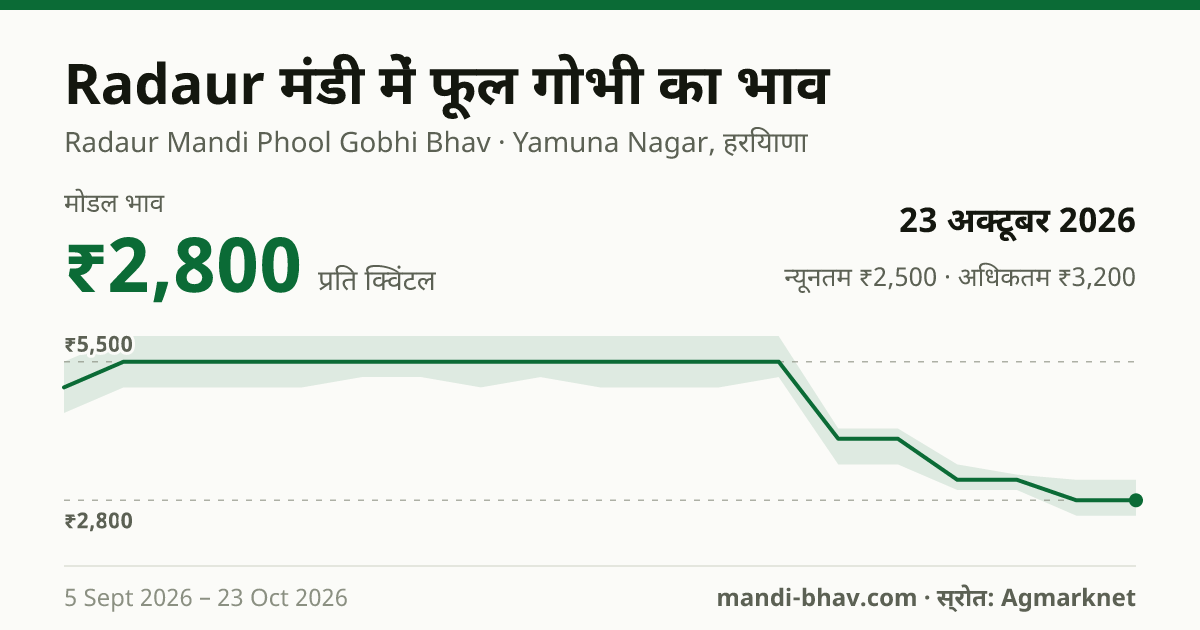 Radaur मंडी में फूल गोभी का भाव 23 अक्टूबर 2026: मोडल ₹2,800 प्रति क्विंटल, भाव के रुझान का चार्ट