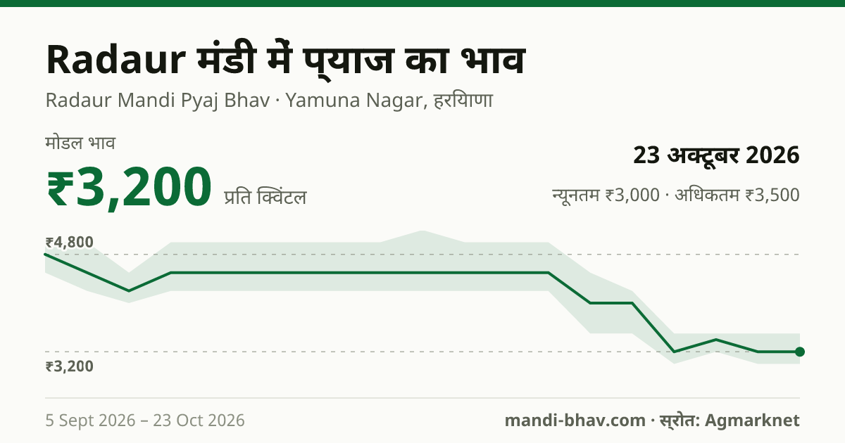 Radaur मंडी में प्याज का भाव 23 अक्टूबर 2026: मोडल ₹3,200 प्रति क्विंटल, भाव के रुझान का चार्ट