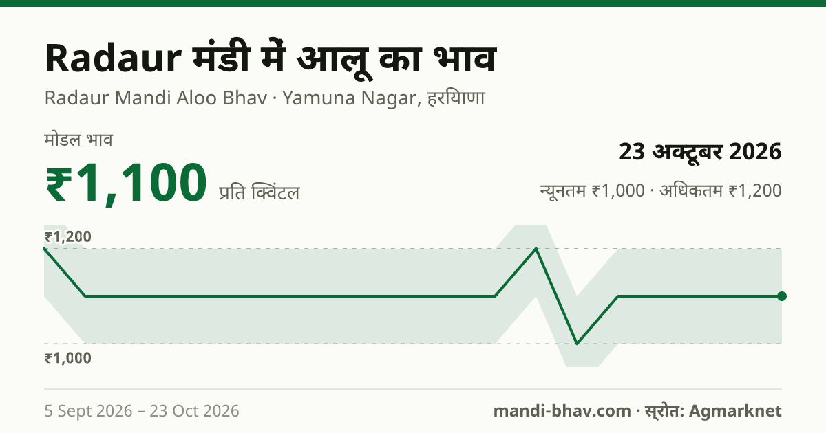 Radaur मंडी में आलू का भाव 23 अक्टूबर 2026: मोडल ₹1,100 प्रति क्विंटल, भाव के रुझान का चार्ट