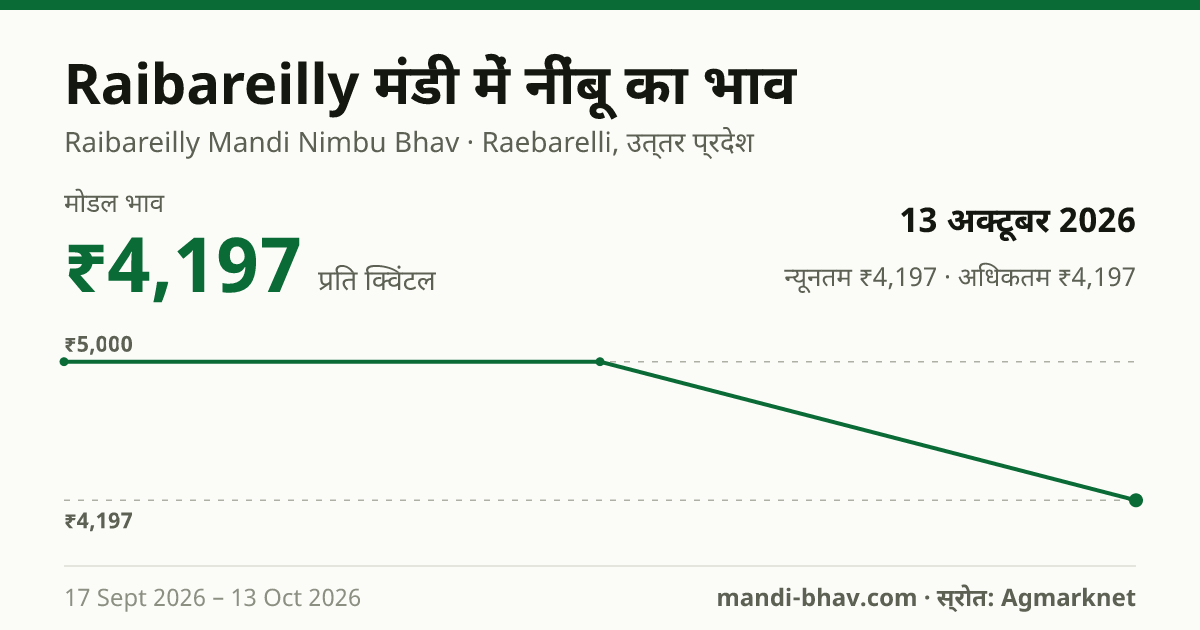 Raibareilly मंडी में नींबू का भाव 13 अक्टूबर 2026: मोडल ₹4,197 प्रति क्विंटल, भाव के रुझान का चार्ट
