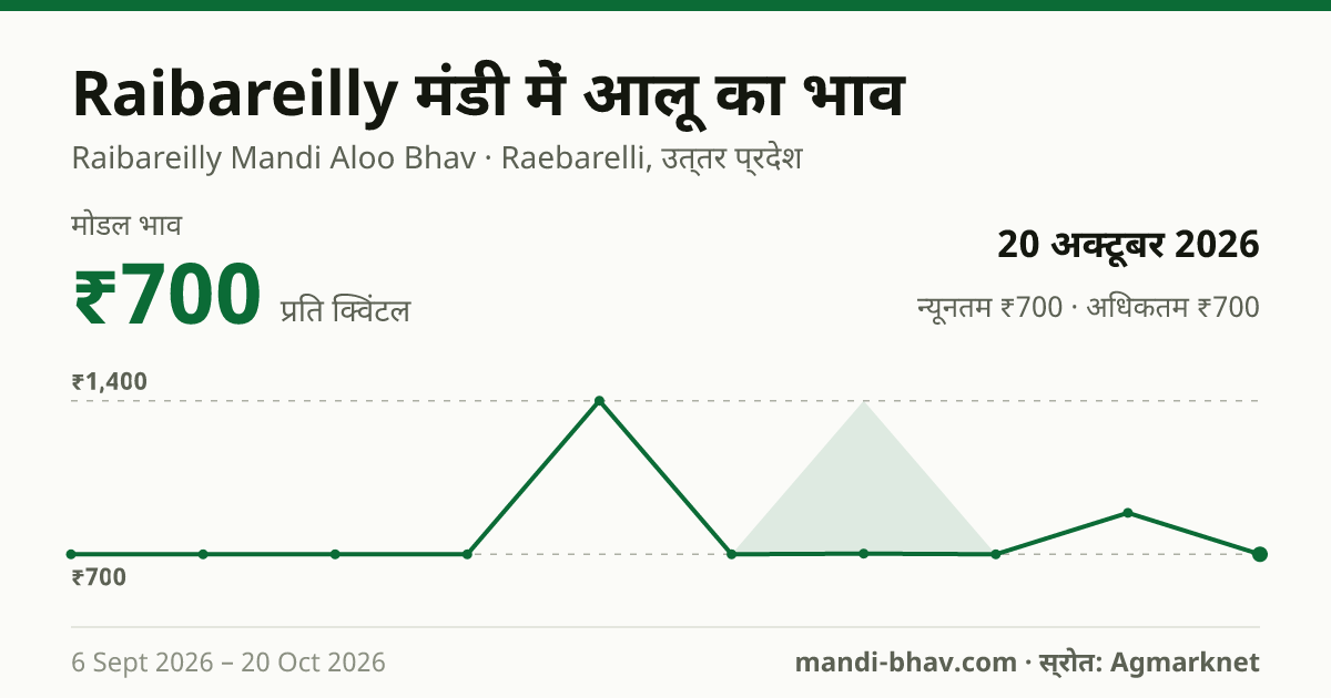 Raibareilly मंडी में आलू का भाव 20 अक्टूबर 2026: मोडल ₹700 प्रति क्विंटल, भाव के रुझान का चार्ट