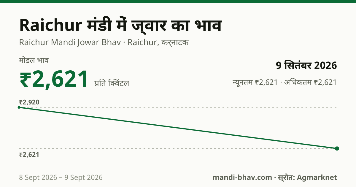 Raichur मंडी में ज्वार का भाव 9 सितंबर 2026: मोडल ₹2,621 प्रति क्विंटल, भाव के रुझान का चार्ट