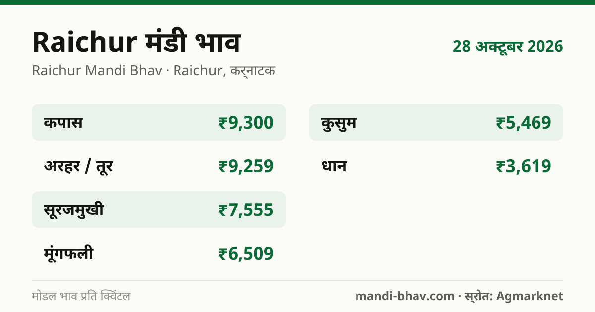 Raichur मंडी भाव 28 अक्टूबर 2026: फसलवार मोडल रेट प्रति क्विंटल