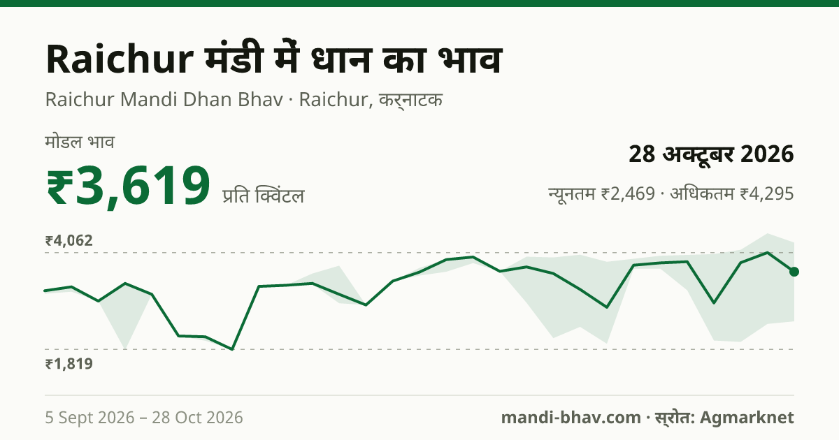Raichur मंडी में धान का भाव 28 अक्टूबर 2026: मोडल ₹3,619 प्रति क्विंटल, भाव के रुझान का चार्ट
