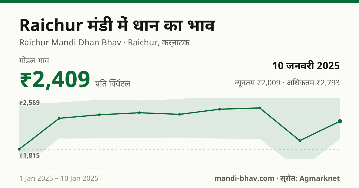Raichur मंडी में धान का भाव 10 जनवरी 2025: मोडल ₹2,409 प्रति क्विंटल, भाव के रुझान का चार्ट