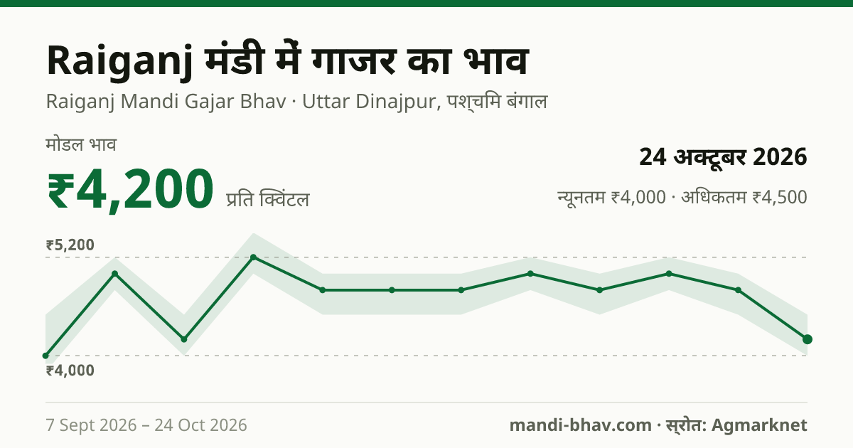 Raiganj मंडी में गाजर का भाव 24 अक्टूबर 2026: मोडल ₹4,200 प्रति क्विंटल, भाव के रुझान का चार्ट