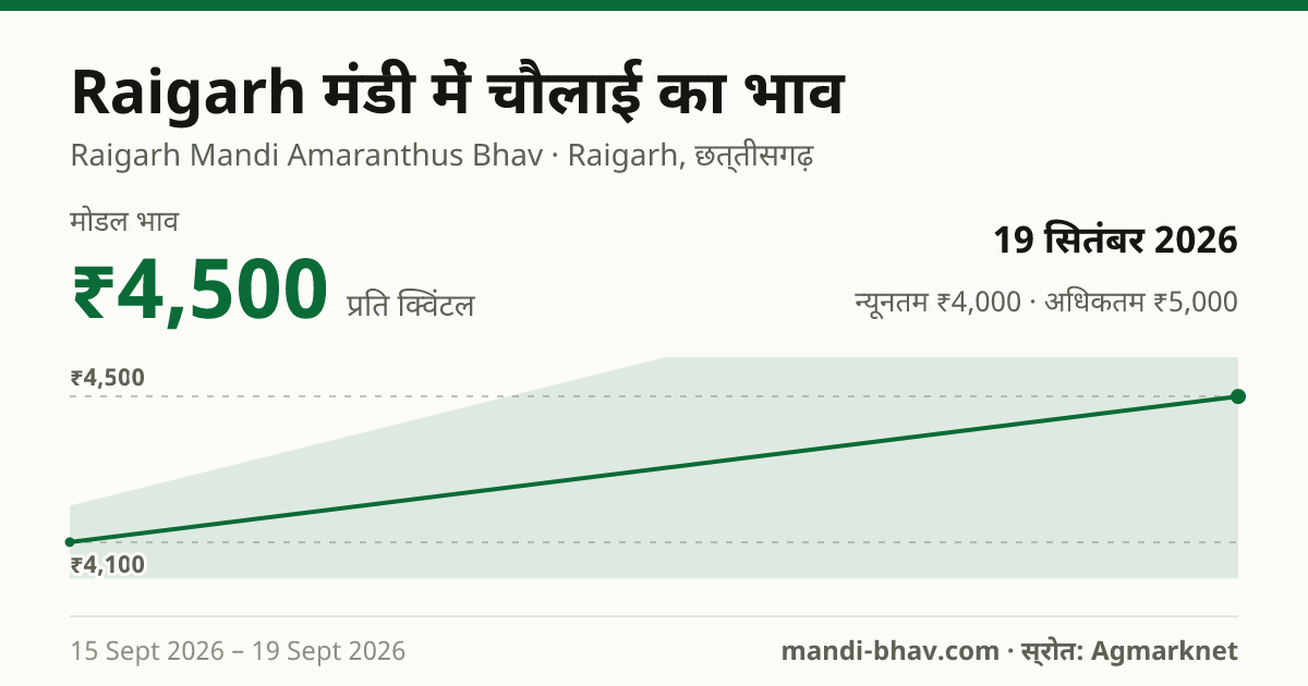 Raigarh मंडी में चौलाई का भाव 19 सितंबर 2026: मोडल ₹4,500 प्रति क्विंटल, भाव के रुझान का चार्ट