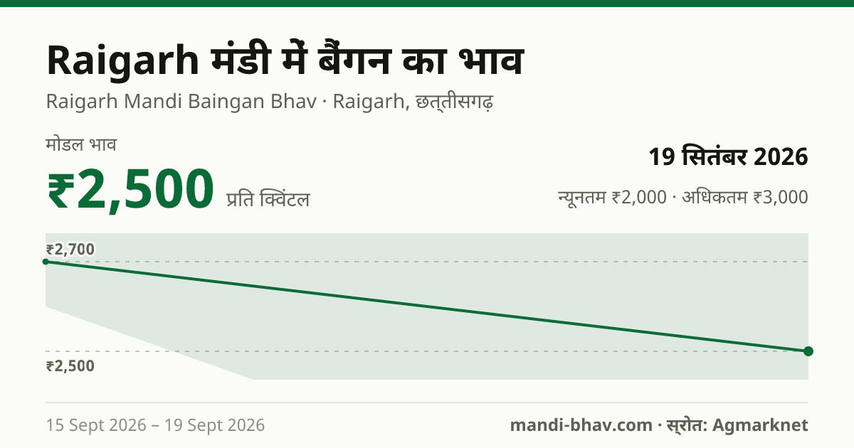 Raigarh मंडी में बैंगन का भाव 19 सितंबर 2026: मोडल ₹2,500 प्रति क्विंटल, भाव के रुझान का चार्ट