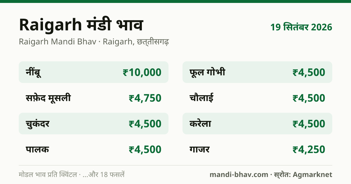 Raigarh मंडी भाव 19 सितंबर 2026: फसलवार मोडल रेट प्रति क्विंटल
