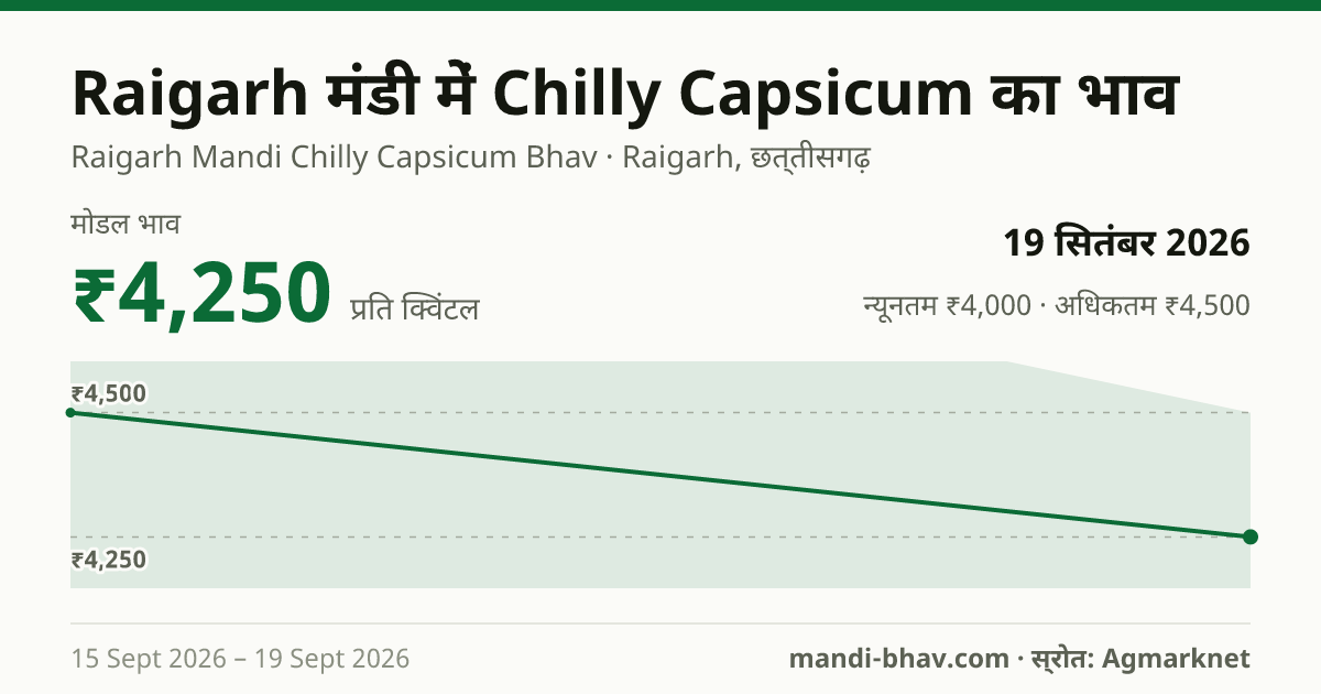 Raigarh मंडी में Chilly Capsicum का भाव 19 सितंबर 2026: मोडल ₹4,250 प्रति क्विंटल, भाव के रुझान का चार्ट