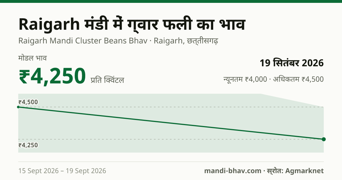 Raigarh मंडी में ग्वार फली का भाव 19 सितंबर 2026: मोडल ₹4,250 प्रति क्विंटल, भाव के रुझान का चार्ट