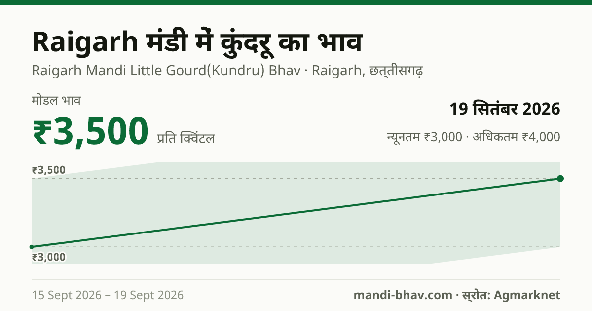Raigarh मंडी में कुंदरू का भाव 19 सितंबर 2026: मोडल ₹3,500 प्रति क्विंटल, भाव के रुझान का चार्ट