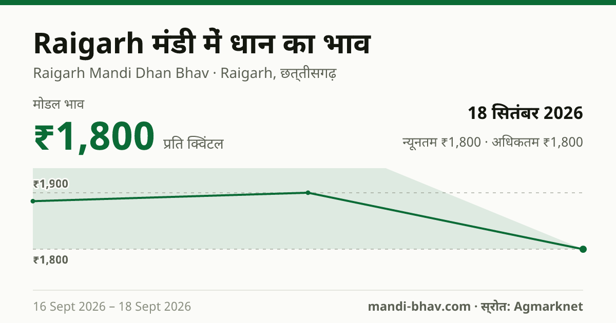Raigarh मंडी में धान का भाव 18 सितंबर 2026: मोडल ₹1,800 प्रति क्विंटल, भाव के रुझान का चार्ट