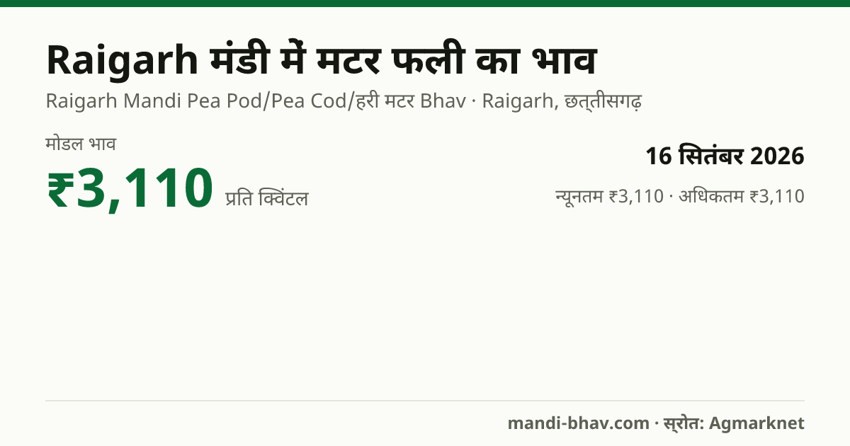 Raigarh मंडी में मटर फली का भाव 16 सितंबर 2026: मोडल ₹3,110 प्रति क्विंटल, भाव के रुझान का चार्ट