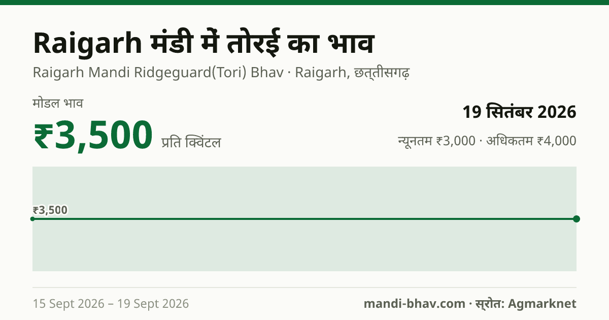 Raigarh मंडी में तोरई का भाव 19 सितंबर 2026: मोडल ₹3,500 प्रति क्विंटल, भाव के रुझान का चार्ट