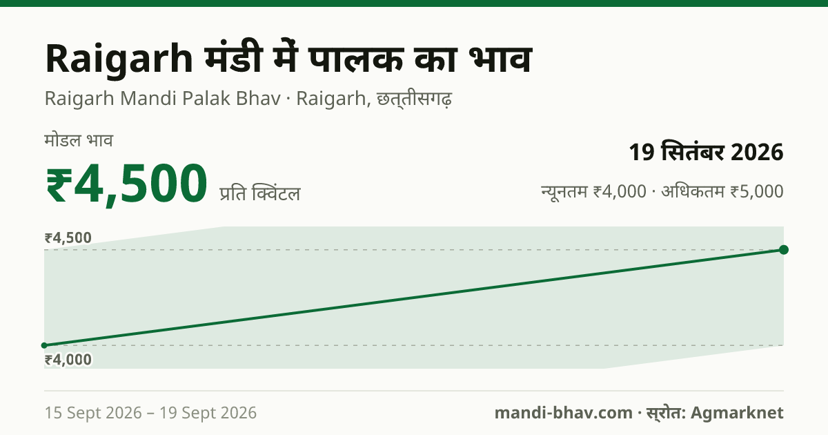 Raigarh मंडी में पालक का भाव 19 सितंबर 2026: मोडल ₹4,500 प्रति क्विंटल, भाव के रुझान का चार्ट