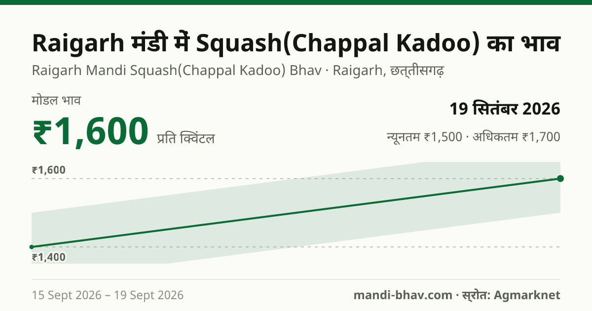 Raigarh मंडी में Squash(Chappal Kadoo) का भाव 19 सितंबर 2026: मोडल ₹1,600 प्रति क्विंटल, भाव के रुझान का चार्ट