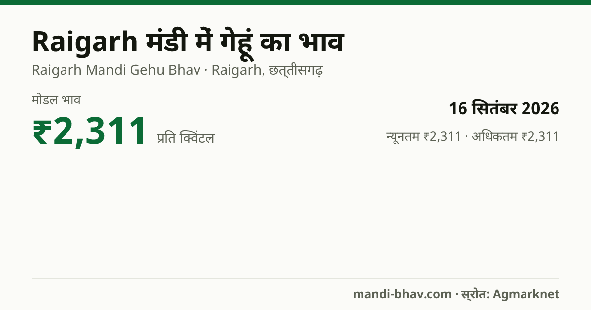 Raigarh मंडी में गेहूं का भाव 16 सितंबर 2026: मोडल ₹2,311 प्रति क्विंटल, भाव के रुझान का चार्ट