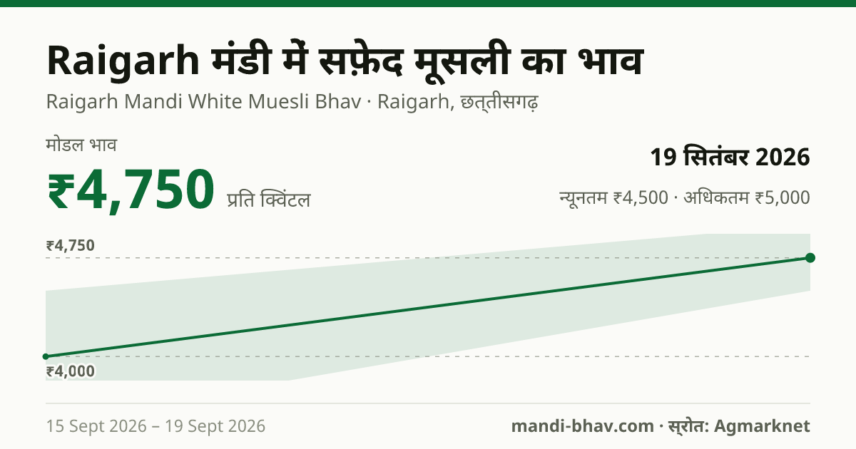 Raigarh मंडी में सफ़ेद मूसली का भाव 19 सितंबर 2026: मोडल ₹4,750 प्रति क्विंटल, भाव के रुझान का चार्ट