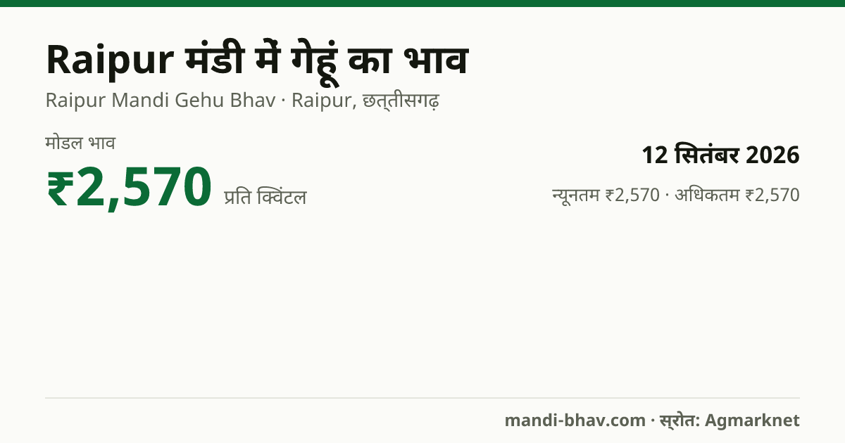 Raipur मंडी में गेहूं का भाव 12 सितंबर 2026: मोडल ₹2,570 प्रति क्विंटल, भाव के रुझान का चार्ट