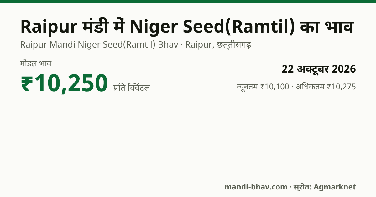 Raipur मंडी में Niger Seed(Ramtil) का भाव 22 अक्टूबर 2026: मोडल ₹10,250 प्रति क्विंटल, भाव के रुझान का चार्ट