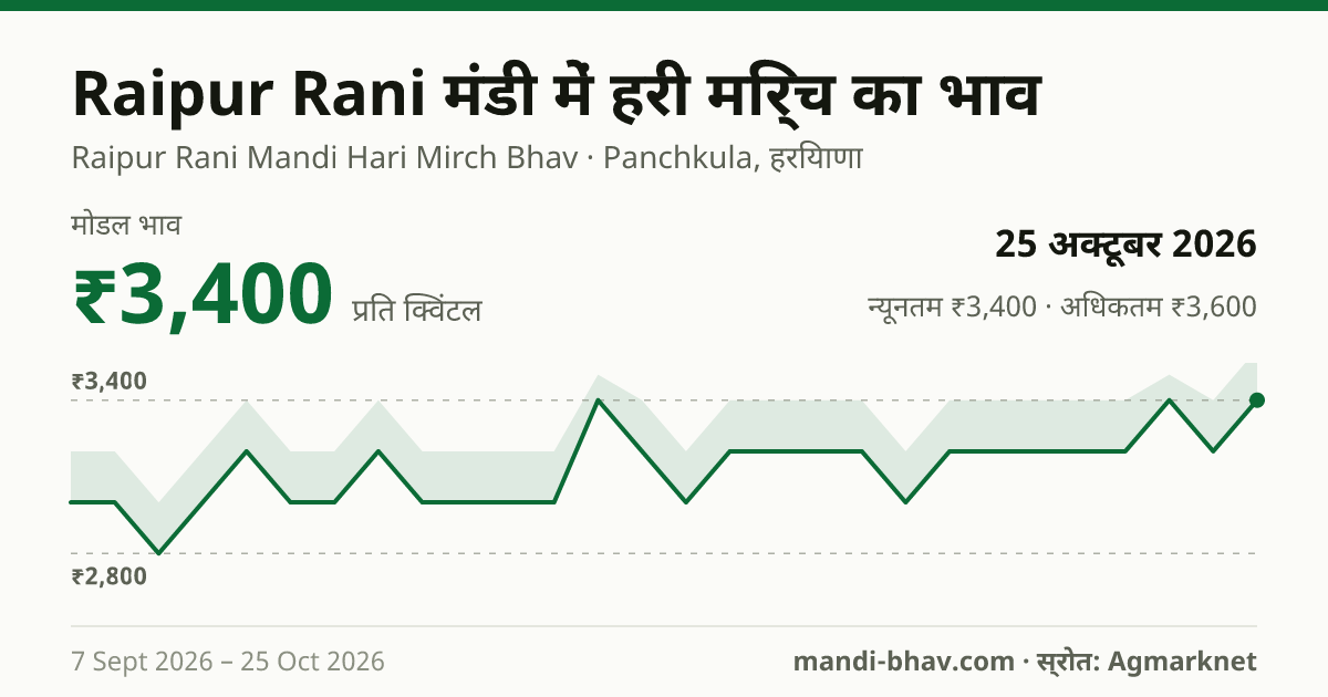 Raipur Rani मंडी में हरी मिर्च का भाव 25 अक्टूबर 2026: मोडल ₹3,400 प्रति क्विंटल, भाव के रुझान का चार्ट
