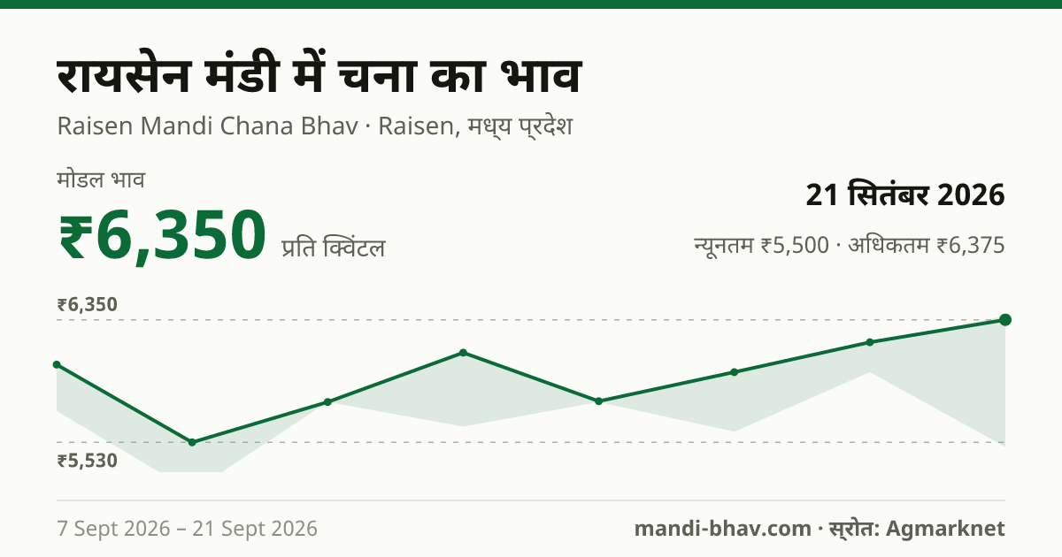 रायसेन मंडी में चना का भाव 21 सितंबर 2026: मोडल ₹6,350 प्रति क्विंटल, भाव के रुझान का चार्ट