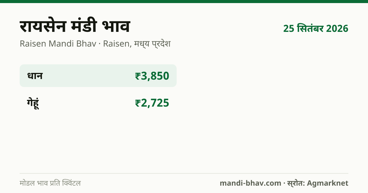 रायसेन मंडी भाव 25 सितंबर 2026: फसलवार मोडल रेट प्रति क्विंटल