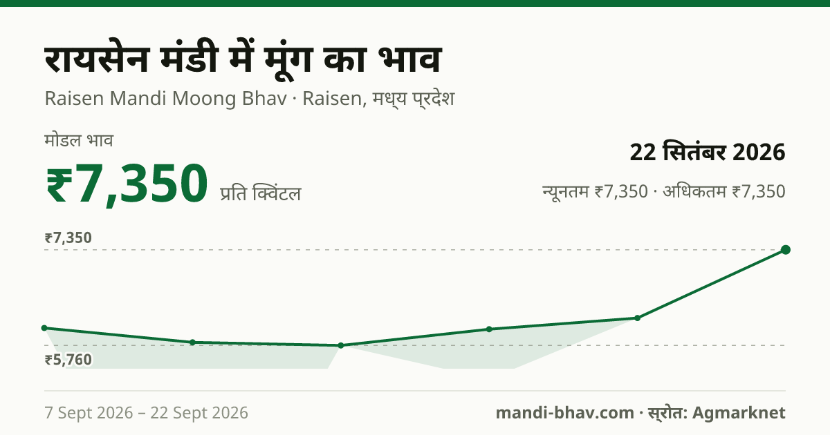 रायसेन मंडी में मूंग का भाव 22 सितंबर 2026: मोडल ₹7,350 प्रति क्विंटल, भाव के रुझान का चार्ट