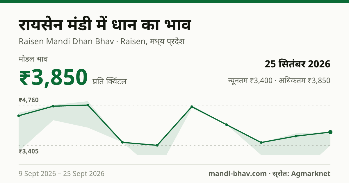 रायसेन मंडी में धान का भाव 25 सितंबर 2026: मोडल ₹3,850 प्रति क्विंटल, भाव के रुझान का चार्ट