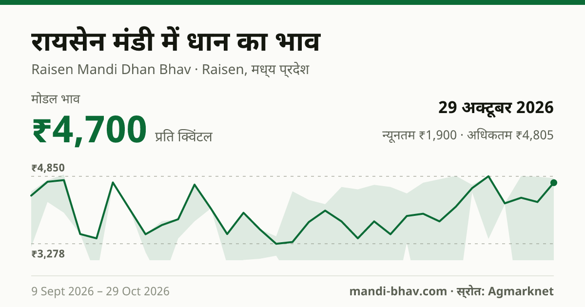 रायसेन मंडी में धान का भाव 29 अक्टूबर 2026: मोडल ₹4,790 प्रति क्विंटल, भाव के रुझान का चार्ट